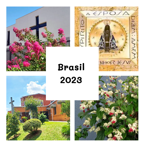Captura de tela 2025-05-05 215915
